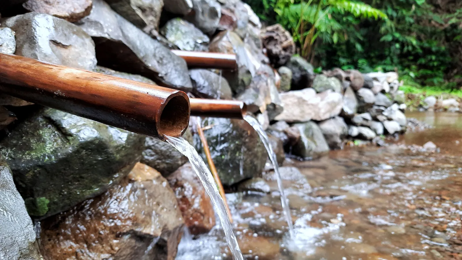 Comment trouver de l’eau en période de sécheresse en Bretagne ?