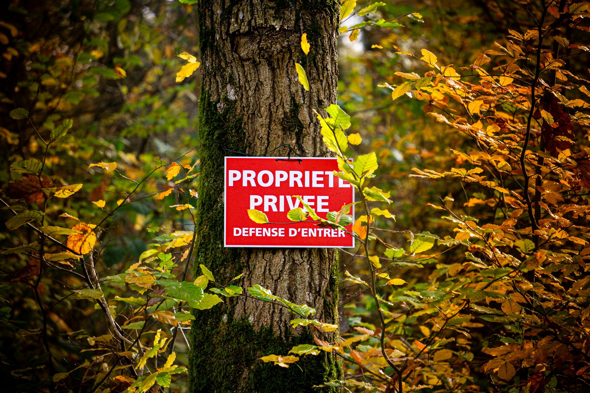 Les forages privés : une réponse à la sécheresse ?