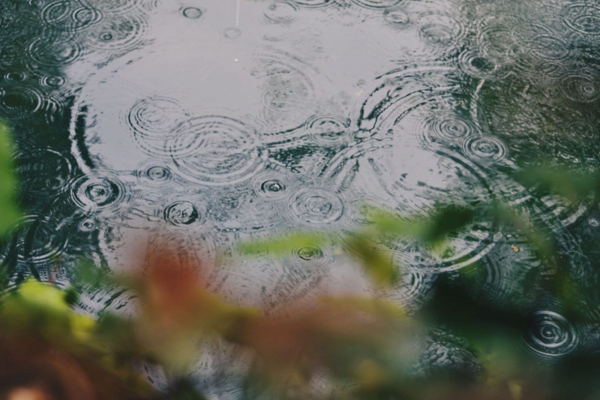 Installer un système de récupération d'eau de pluie pour le