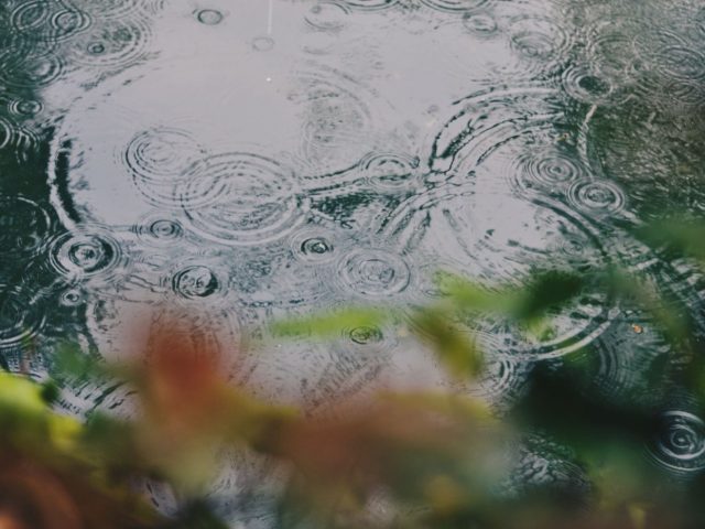 Installer un système de récupération d’eau de pluie pour le