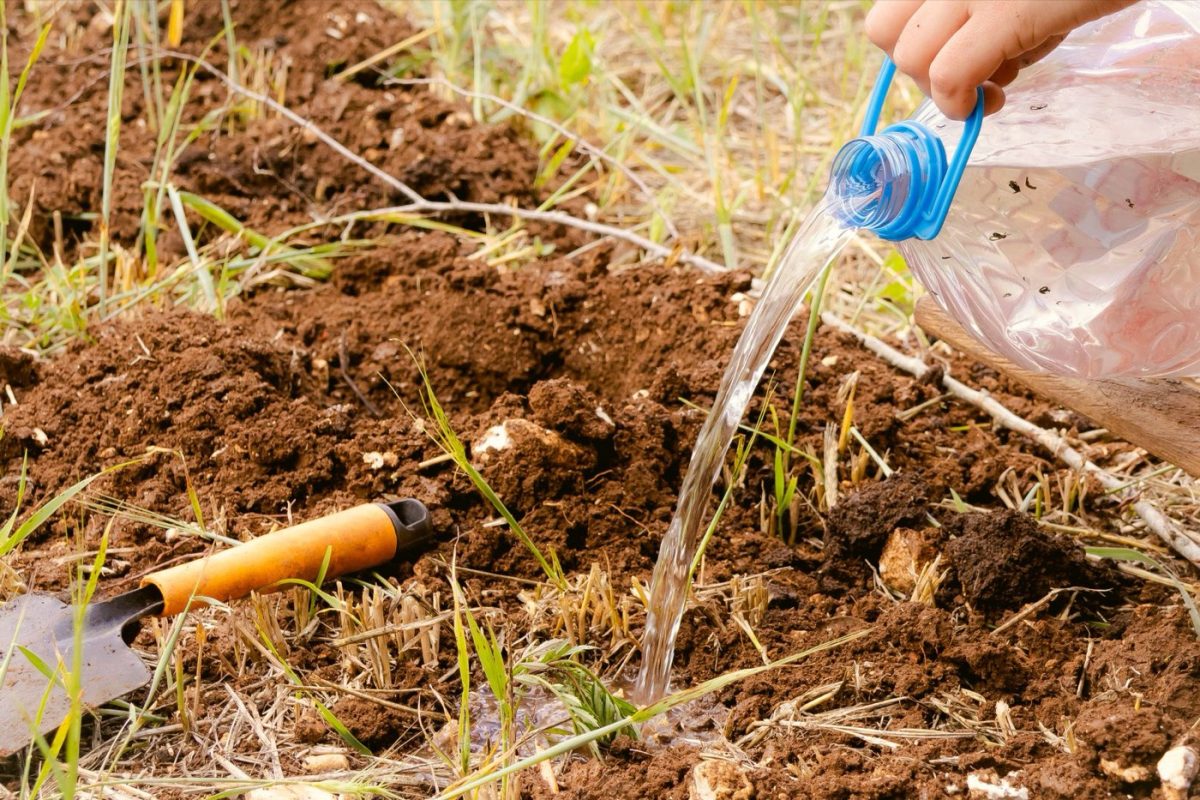 Méthodes efficaces pour économiser l'eau au jardin