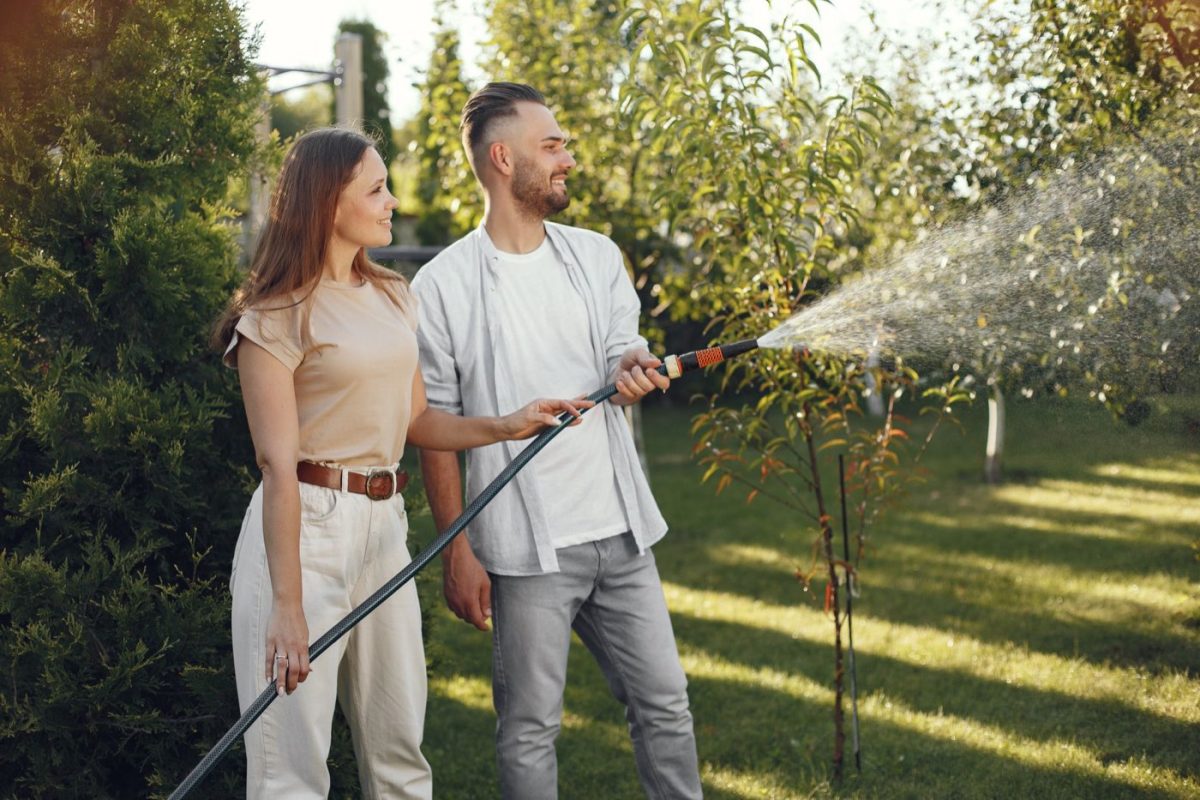 Comment choisir une pompe solaire pour arroser le jardin