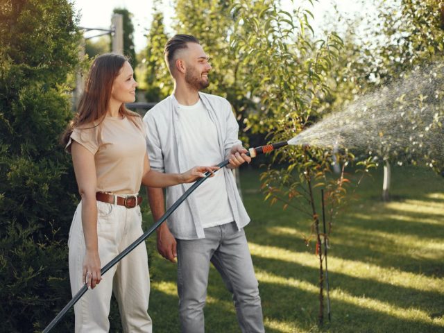 Comment choisir une pompe solaire pour arroser le jardin