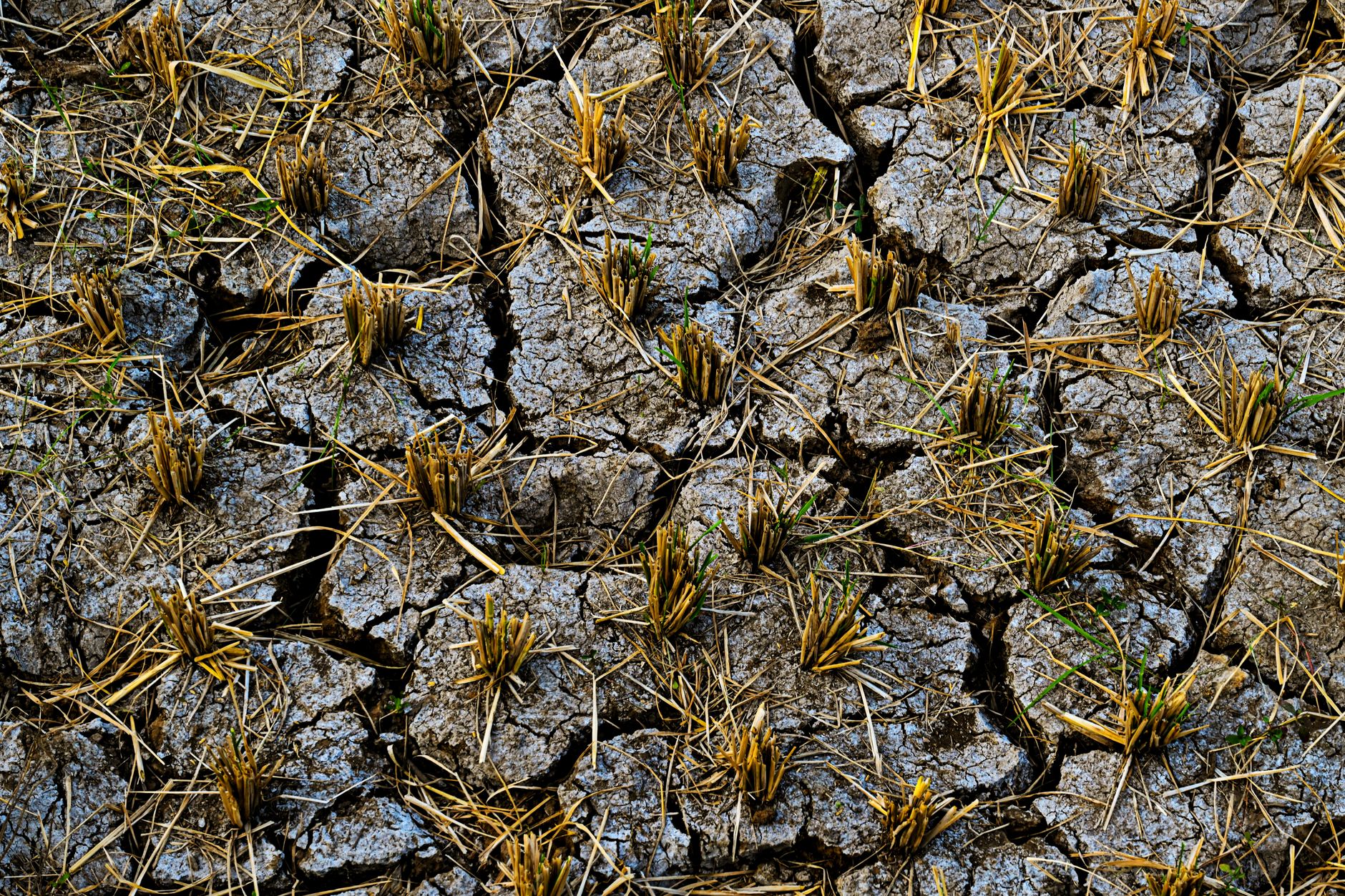 Comment faire face à la pénurie d’eau potable en Argonne ?