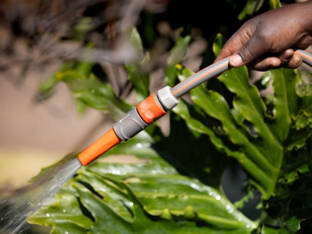 Peut-on arroser son jardin avec l’eau du puits en période de sécheresse ?