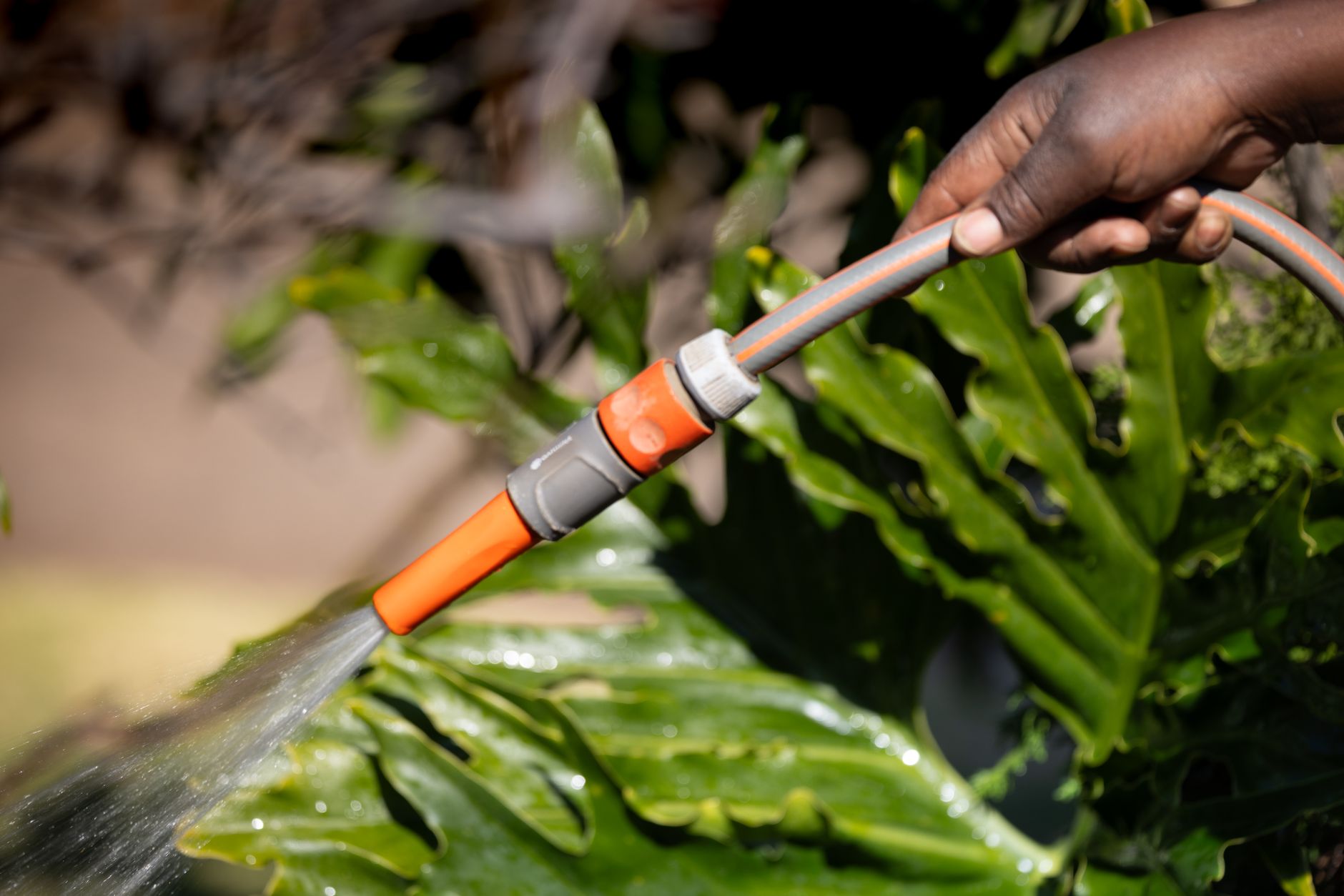 Peut-on arroser son jardin avec l’eau du puits en cas de sécheresse ?