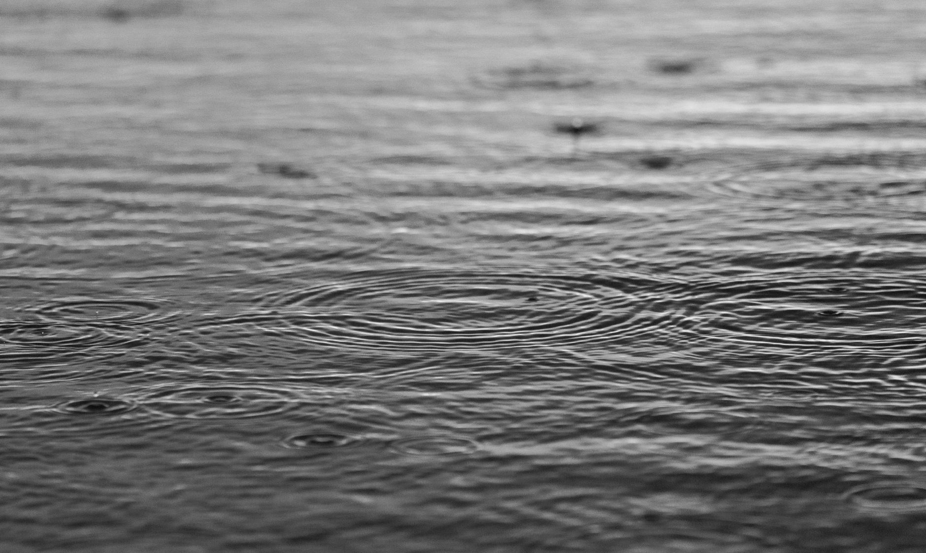 Installer un système de récupération d'eau de pluie pour le