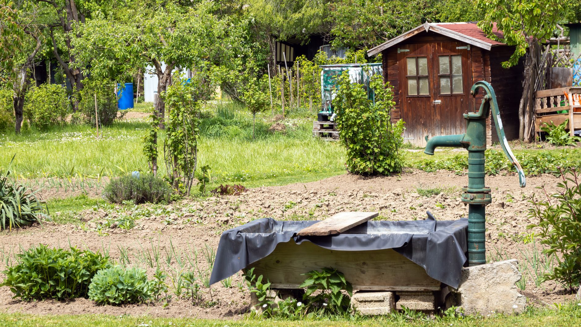 Choisir une pompe de surface pour jardin et potager